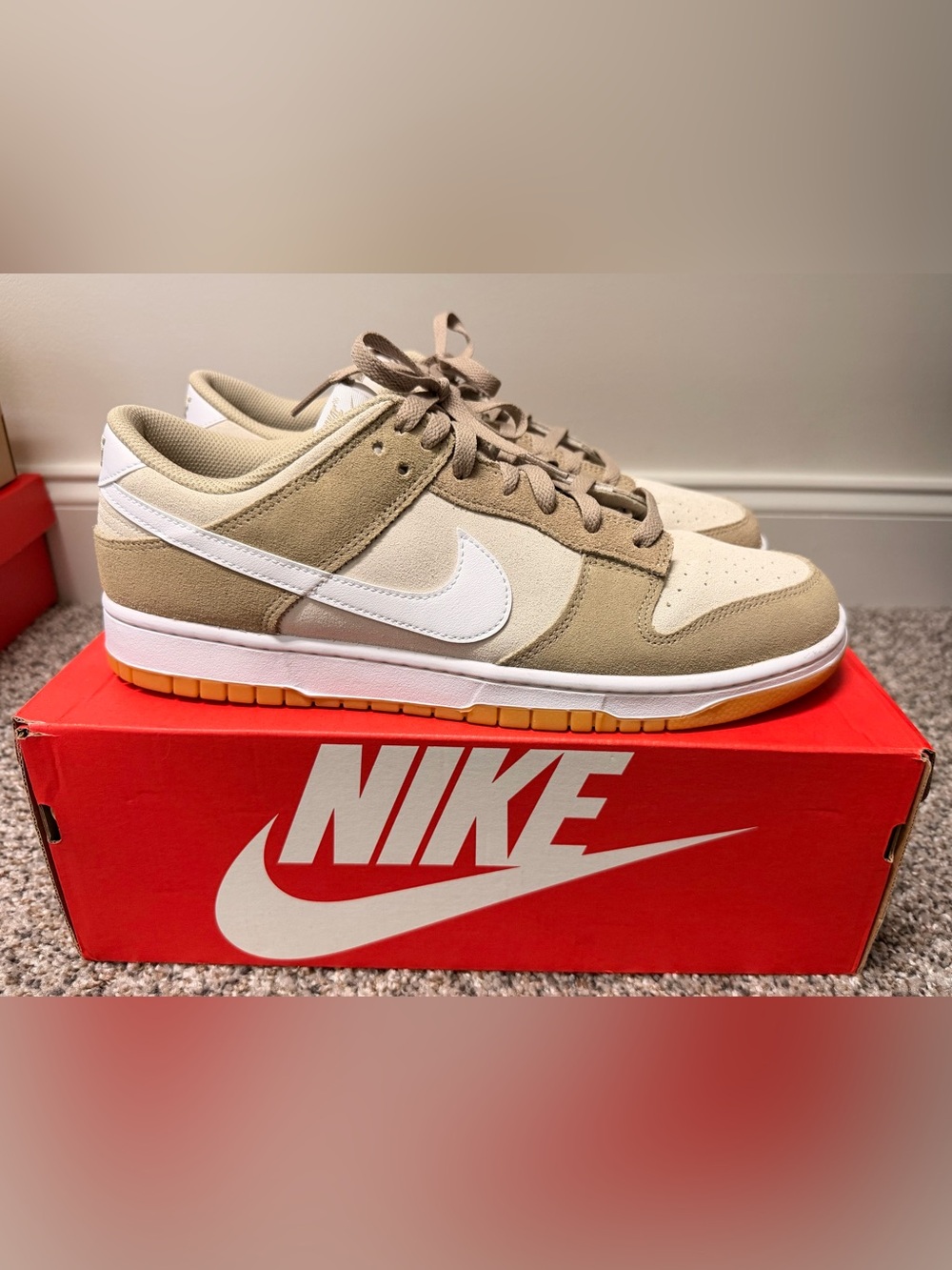 Men’s Nike Dunk Low Retro SE - Size 13